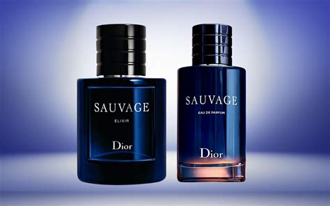 sauvage dior vs sauvage elixir|dior sauvage elixir preisvergleich.